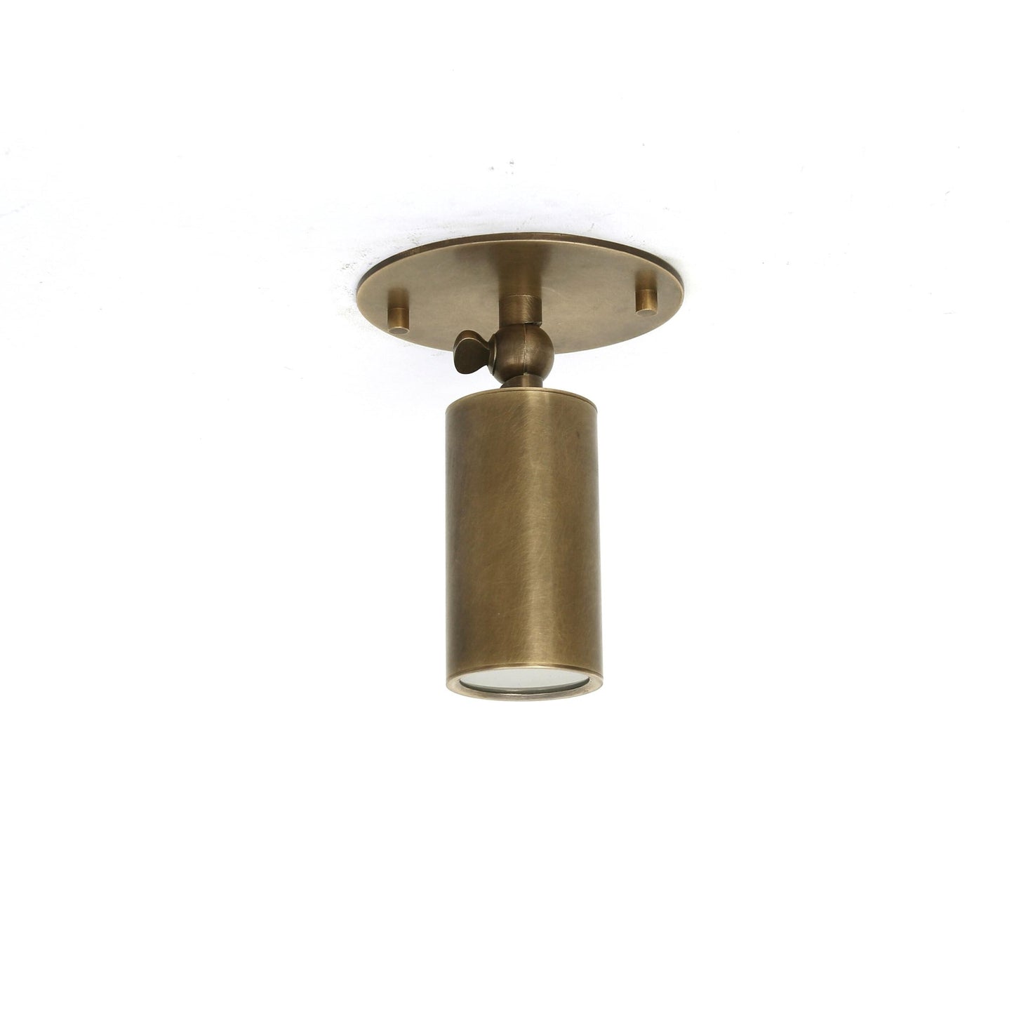 Adjustable Brass Cylinder Ceiling Spotlight with Frosted Glass Lens