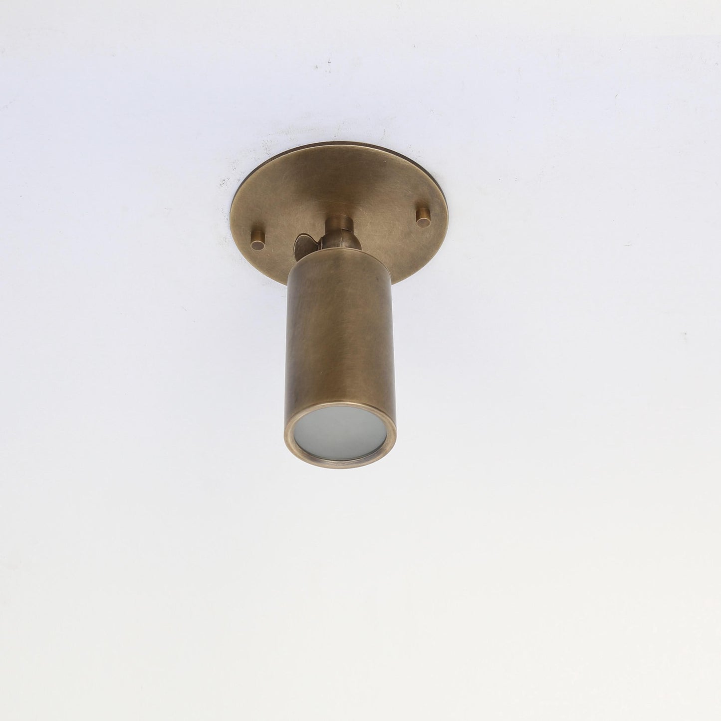 Adjustable Brass Cylinder Ceiling Spotlight with Frosted Glass Lens