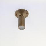 Adjustable Brass Cylinder Ceiling Spotlight with Frosted Glass Lens
