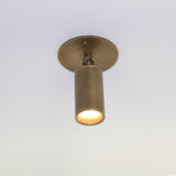 Adjustable Brass Cylinder Ceiling Spotlight with Frosted Glass Lens