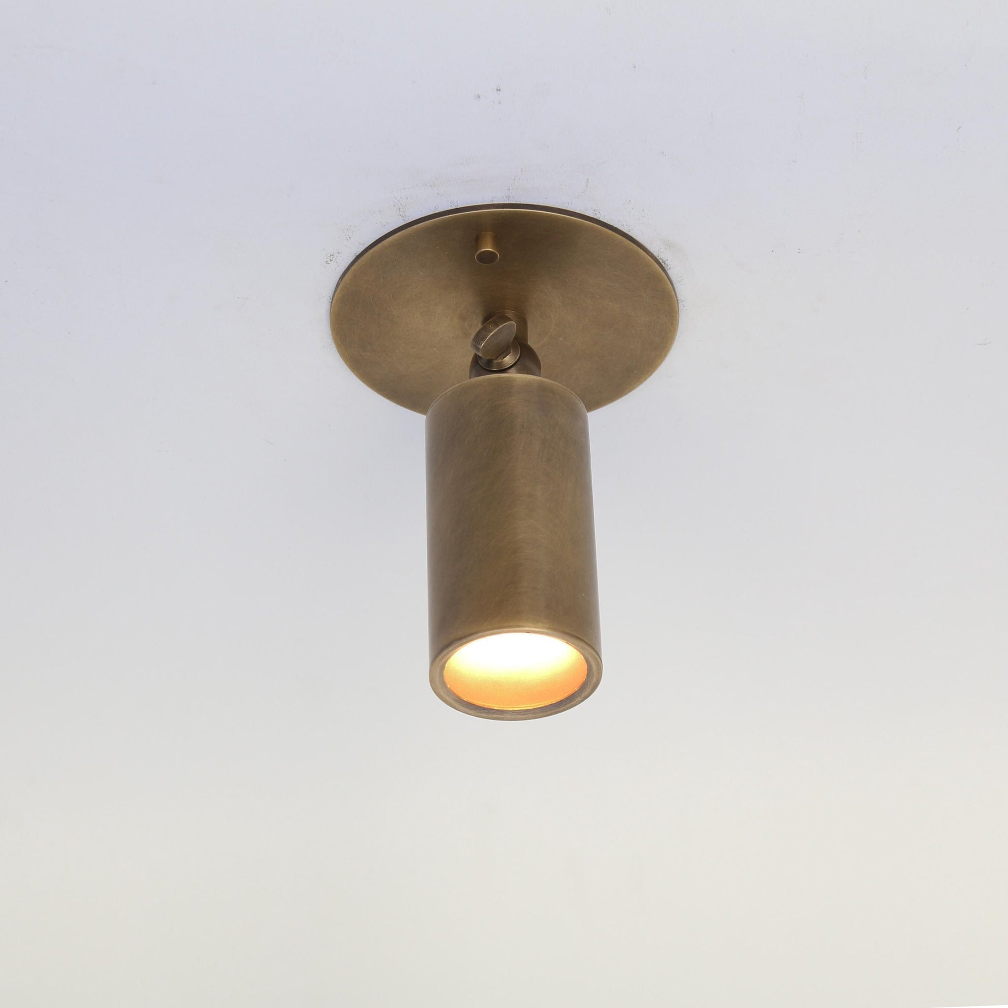 Adjustable Brass Cylinder Ceiling Spotlight with Frosted Glass Lens