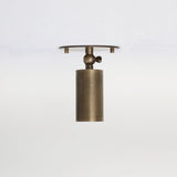 Adjustable Brass Cylinder Ceiling Spotlight with Frosted Glass Lens