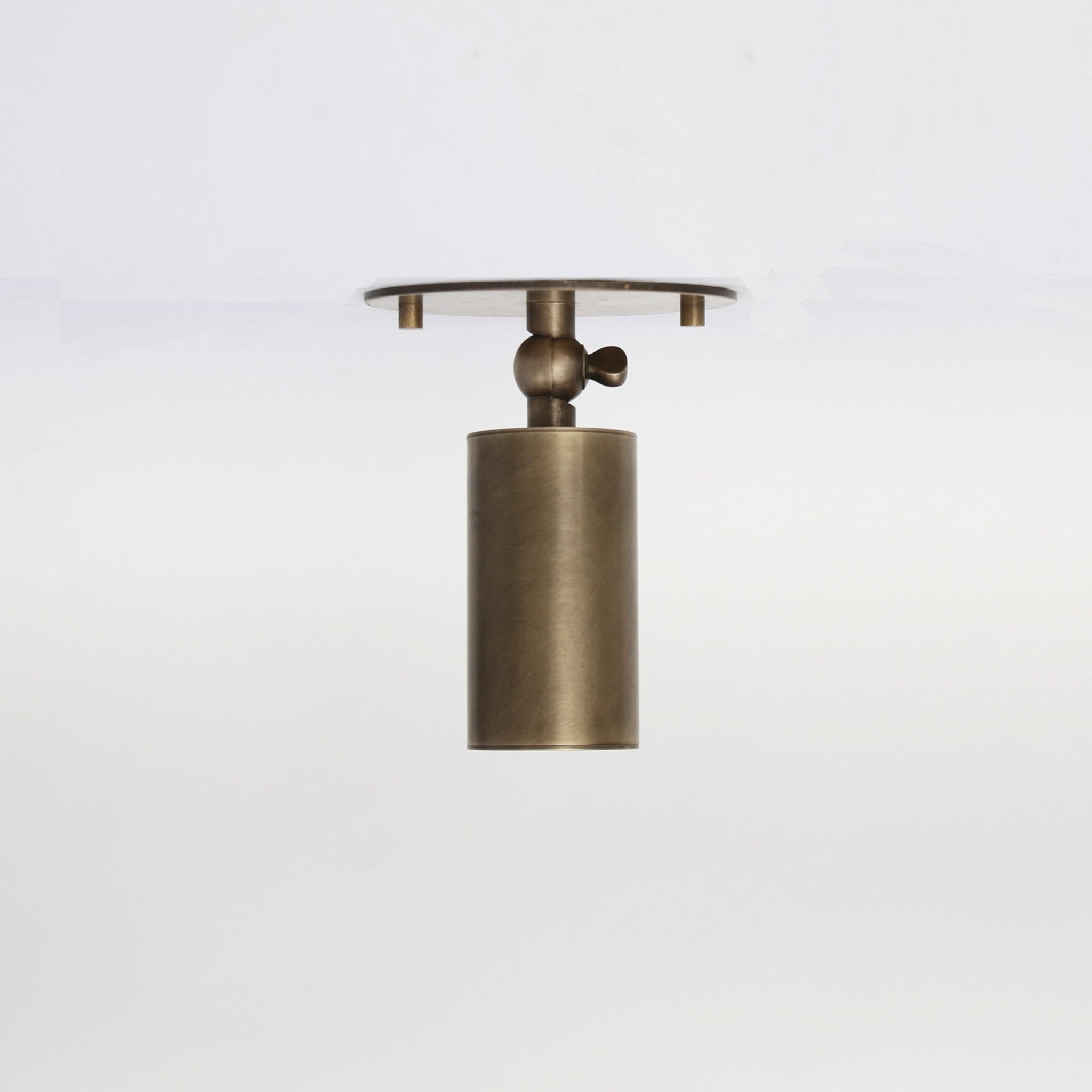 Adjustable Brass Cylinder Ceiling Spotlight with Frosted Glass Lens