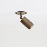 Adjustable Brass Cylinder Spotlight with Flush Ceiling Plate