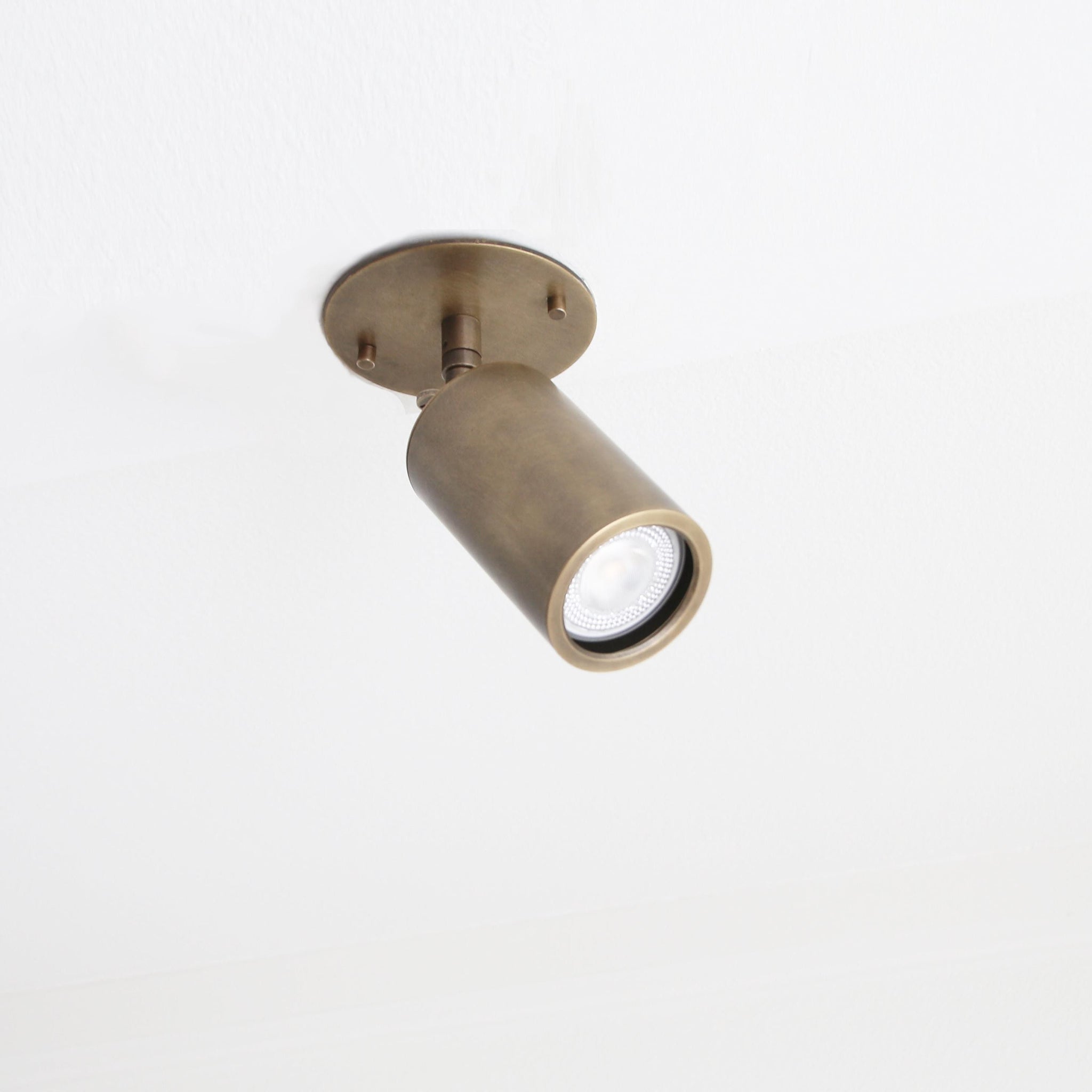 Adjustable Brass Cylinder Spotlight with Flush Ceiling Plate