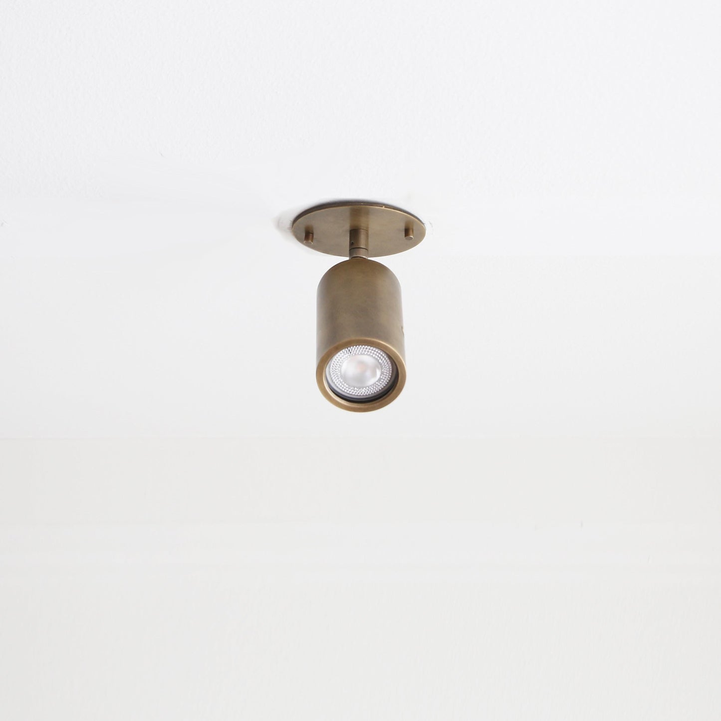 Adjustable Brass Cylinder Spotlight with Flush Ceiling Plate