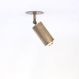 Adjustable Brass Spotlight Ceiling Light, 5-1/2 Inch Shade