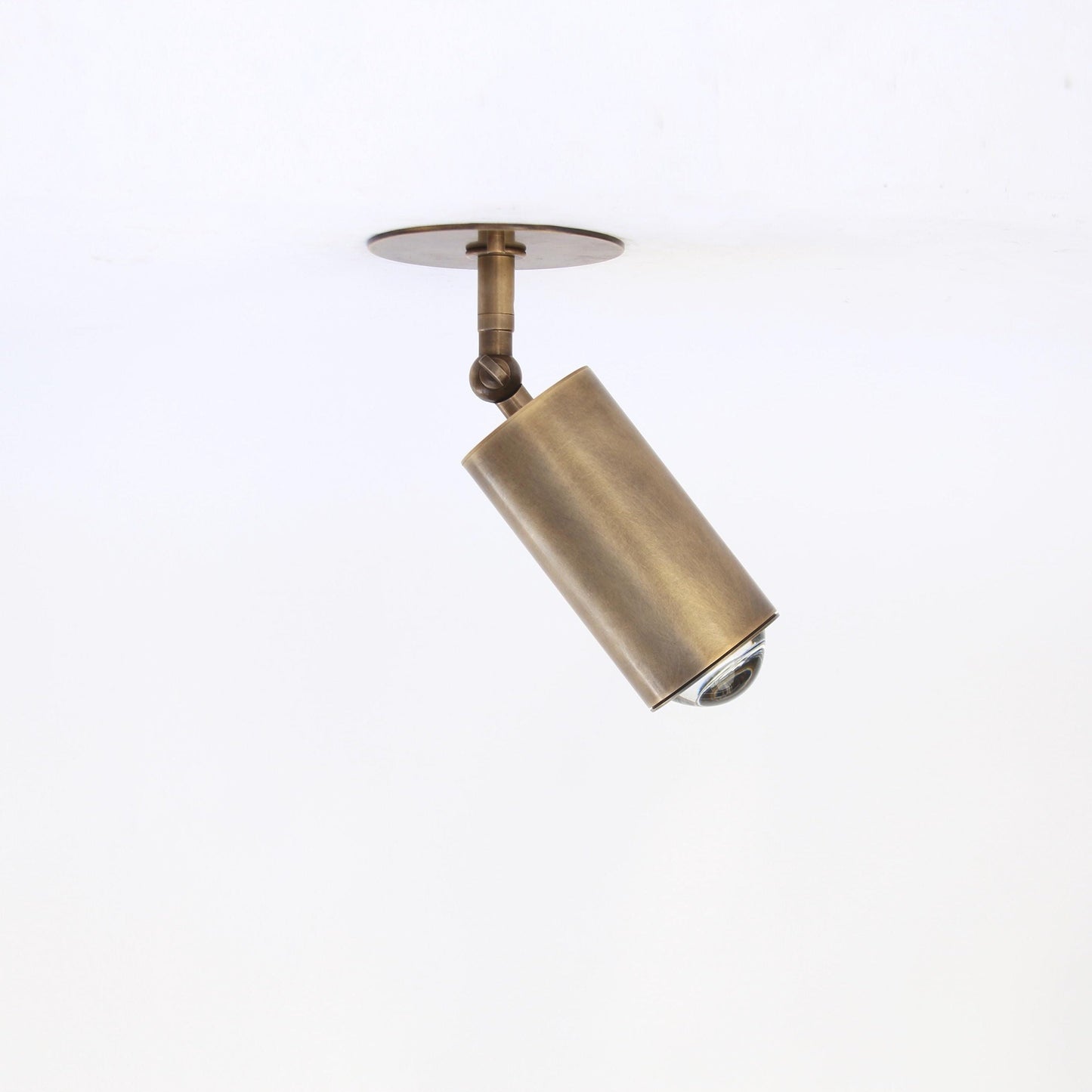 Adjustable Brass Spotlight Ceiling Light, 5-1/2 Inch Shade