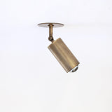 Adjustable Brass Spotlight Ceiling Light, 5-1/2 Inch Shade