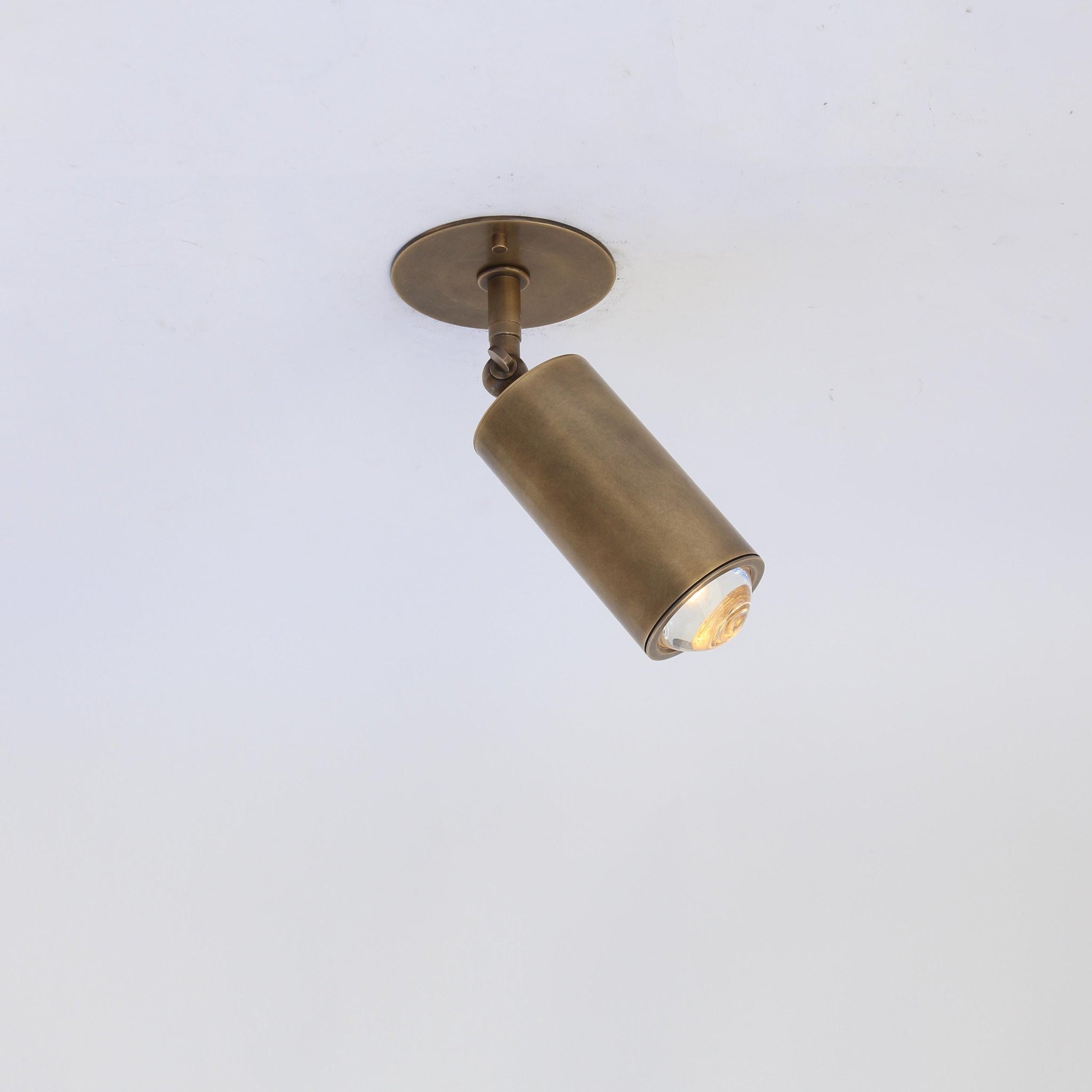 Adjustable Brass Spotlight Ceiling Light, 5-1/2 Inch Shade