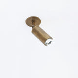 Adjustable Brass Spotlight Ceiling Light, 5-1/2 Inch Shade