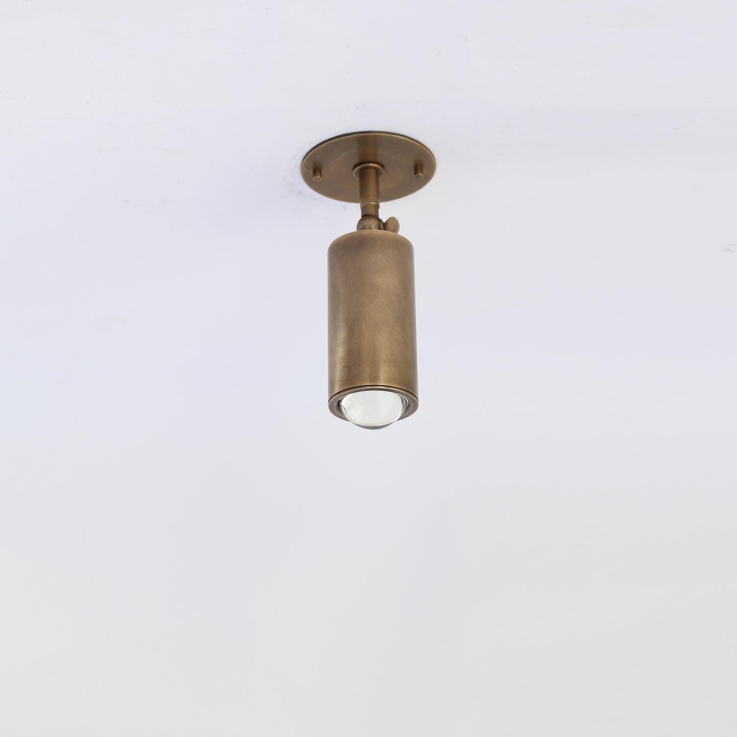 Adjustable Brass Spotlight Ceiling Light, 5-1/2 Inch Shade
