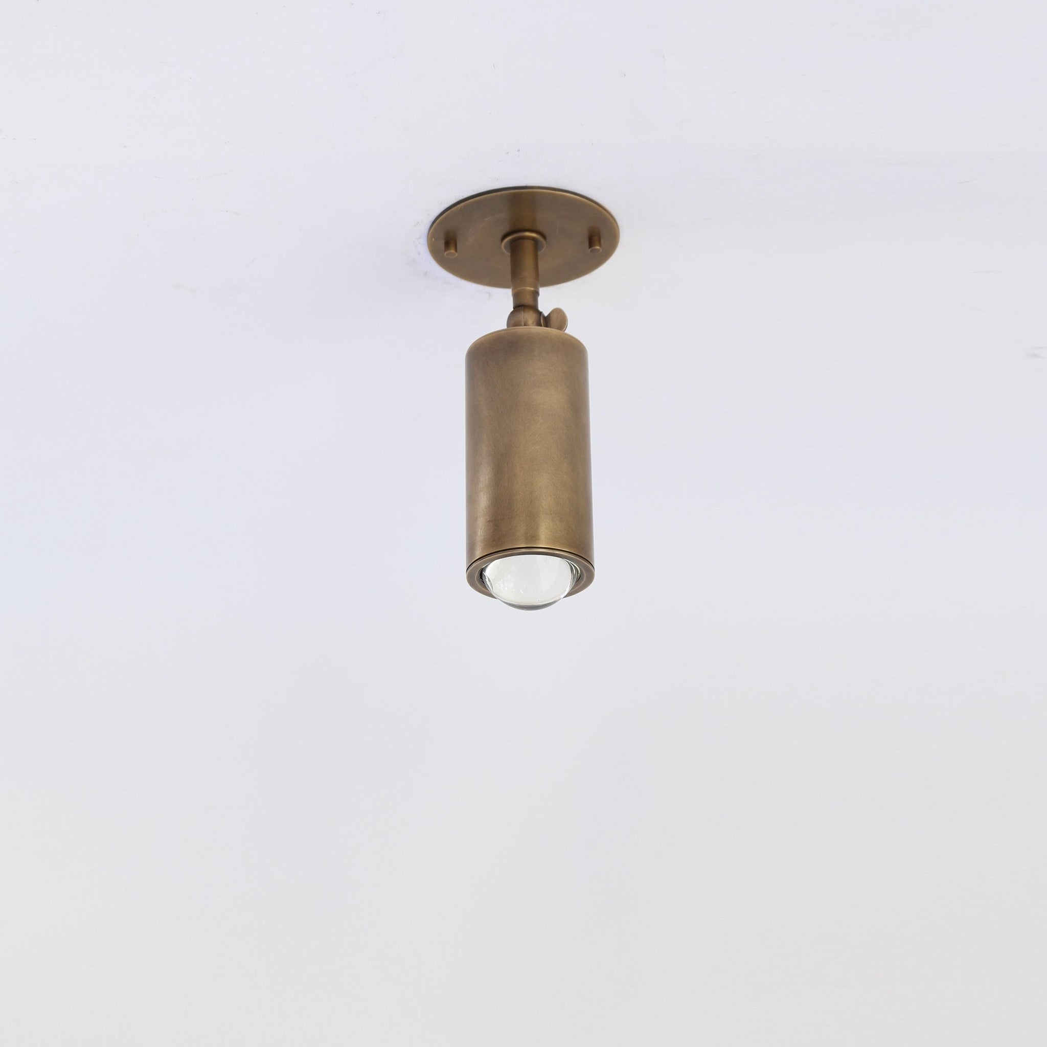 Adjustable Brass Spotlight Ceiling Light, 5-1/2 Inch Shade