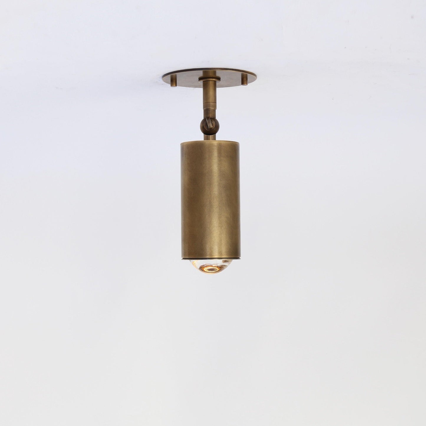 Adjustable Brass Spotlight Ceiling Light, 5-1/2 Inch Shade