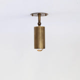 Adjustable Brass Spotlight Ceiling Light, 5-1/2 Inch Shade