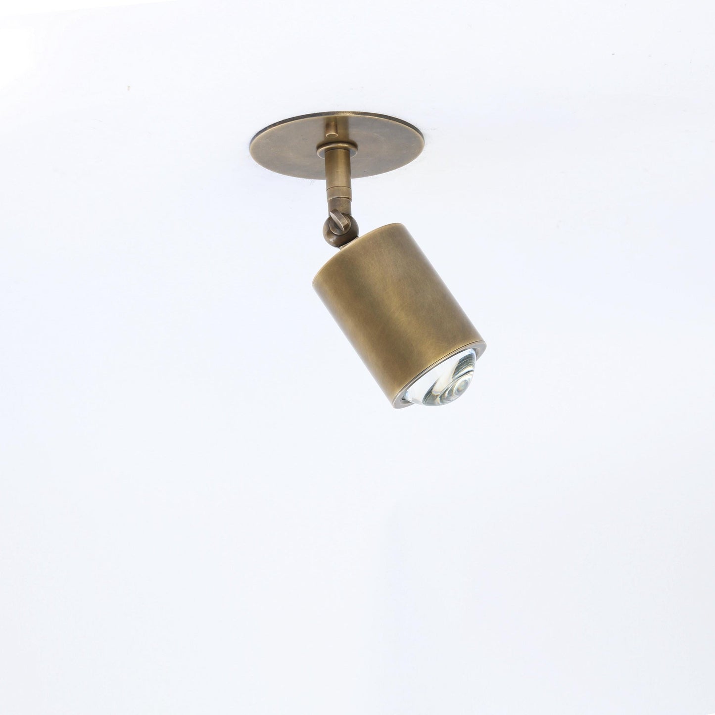 Adjustable Brass Spotlight Ceiling Light with Clear Lens, 4-Inch Shade
