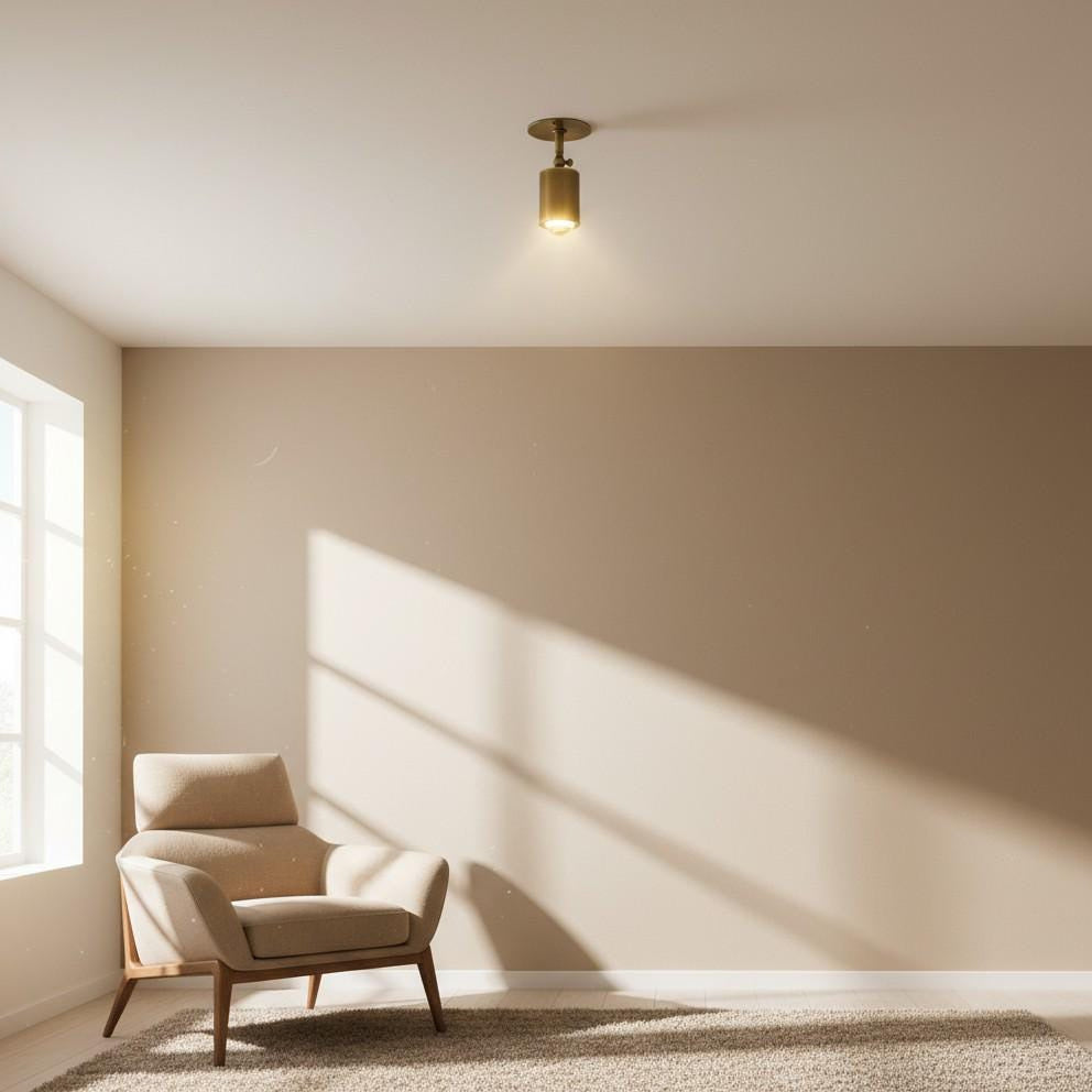 Adjustable Brass Spotlight Ceiling Light with Clear Lens, 4-Inch Shade