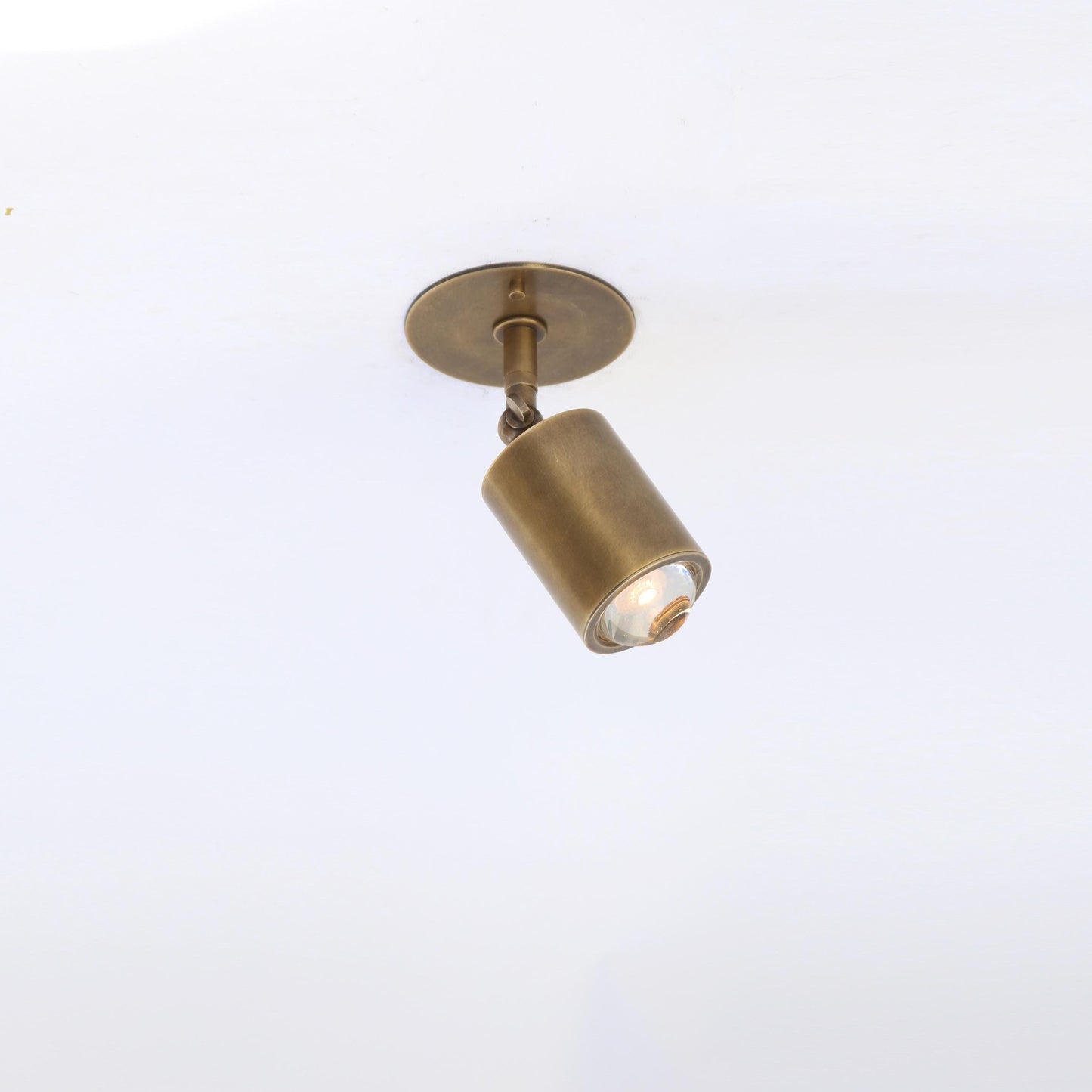 Adjustable Brass Spotlight Ceiling Light with Clear Lens, 4-Inch Shade