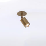 Adjustable Brass Spotlight Ceiling Light with Clear Lens, 4-Inch Shade