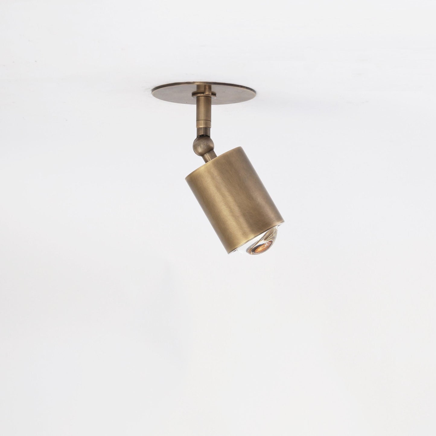 Adjustable Brass Spotlight Ceiling Light with Clear Lens, 4-Inch Shade