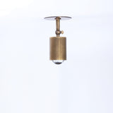 Adjustable Brass Spotlight Ceiling Light with Clear Lens, 4-Inch Shade