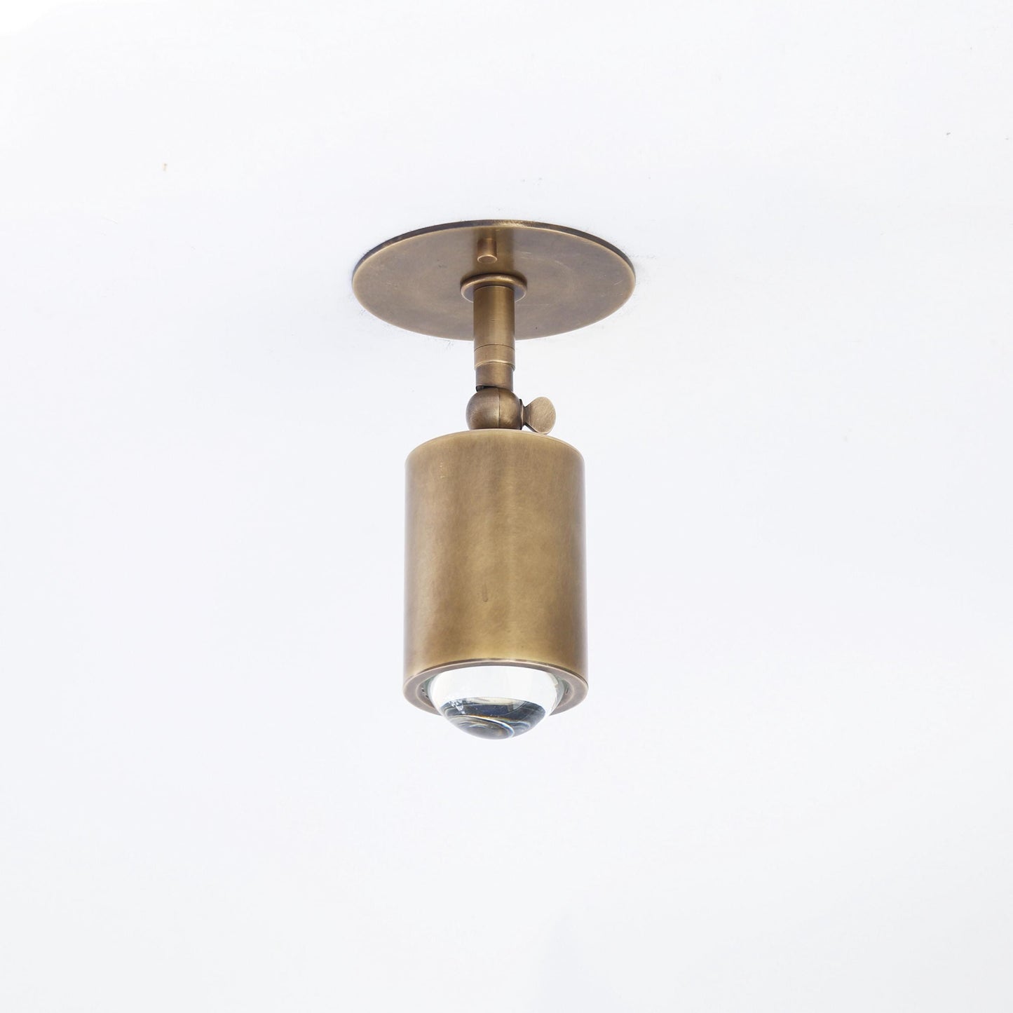 Adjustable Brass Spotlight Ceiling Light with Clear Lens, 4-Inch Shade