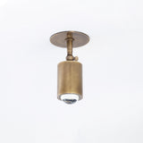 Adjustable Brass Spotlight Ceiling Light with Clear Lens, 4-Inch Shade