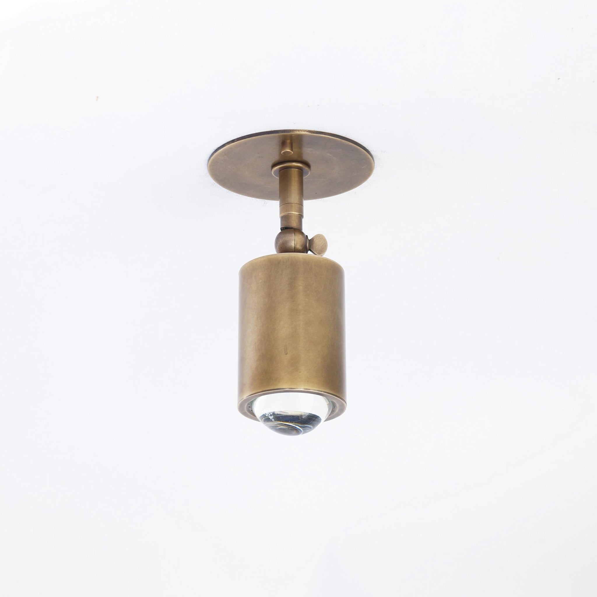 Adjustable Brass Spotlight Ceiling Light with Clear Lens, 4-Inch Shade