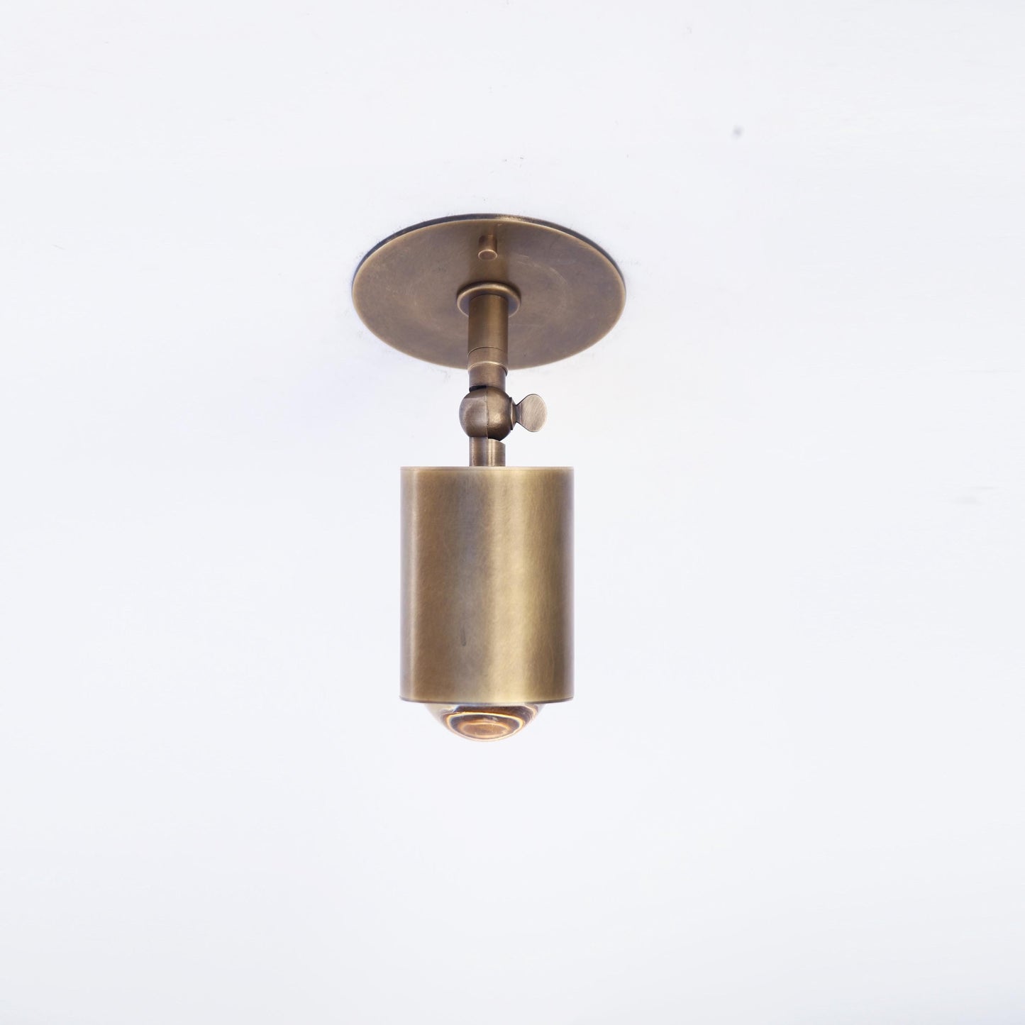 Adjustable Brass Spotlight Ceiling Light with Clear Lens, 4-Inch Shade