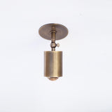 Adjustable Brass Spotlight Ceiling Light with Clear Lens, 4-Inch Shade