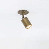 Adjustable Brass Spotlight Ceiling Light with Frosted Lens, 4 or 5-Inch Shade
