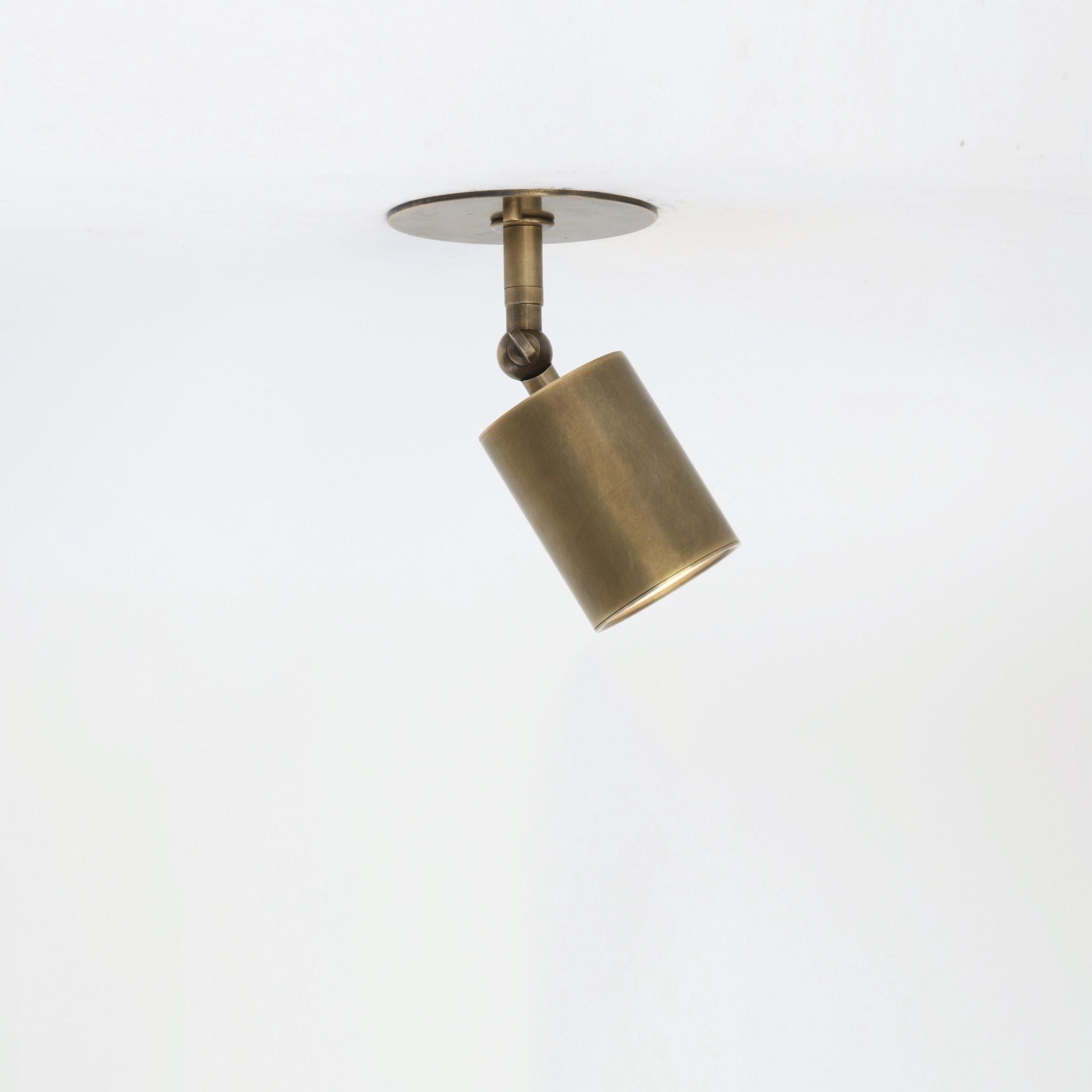 Adjustable Brass Spotlight Ceiling Light with Frosted Lens, 4 or 5-Inch Shade