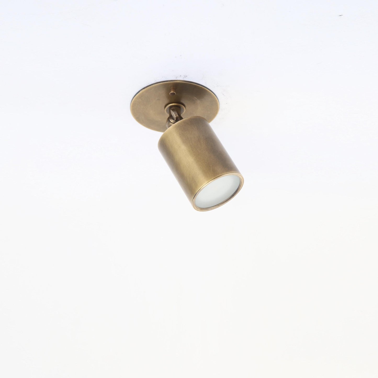 Adjustable Brass Spotlight Ceiling Light with Frosted Lens, 4 or 5-Inch Shade
