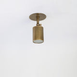 Adjustable Brass Spotlight Ceiling Light with Frosted Lens, 4 or 5-Inch Shade