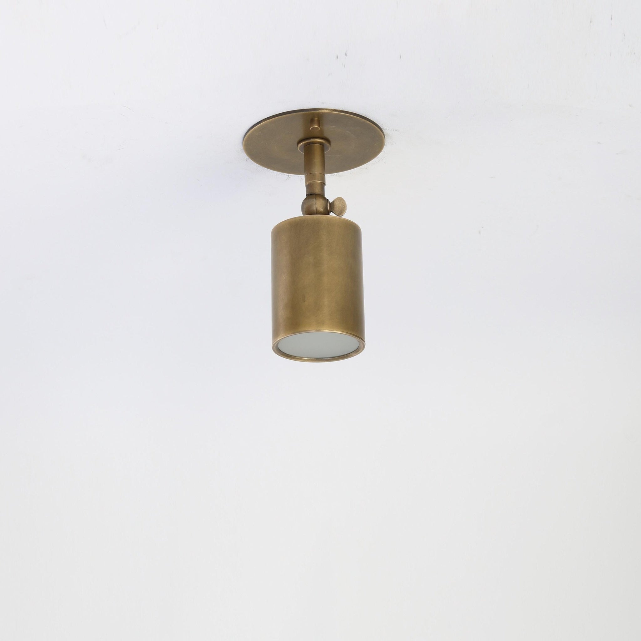Adjustable Brass Spotlight Ceiling Light with Frosted Lens, 4 or 5-Inch Shade