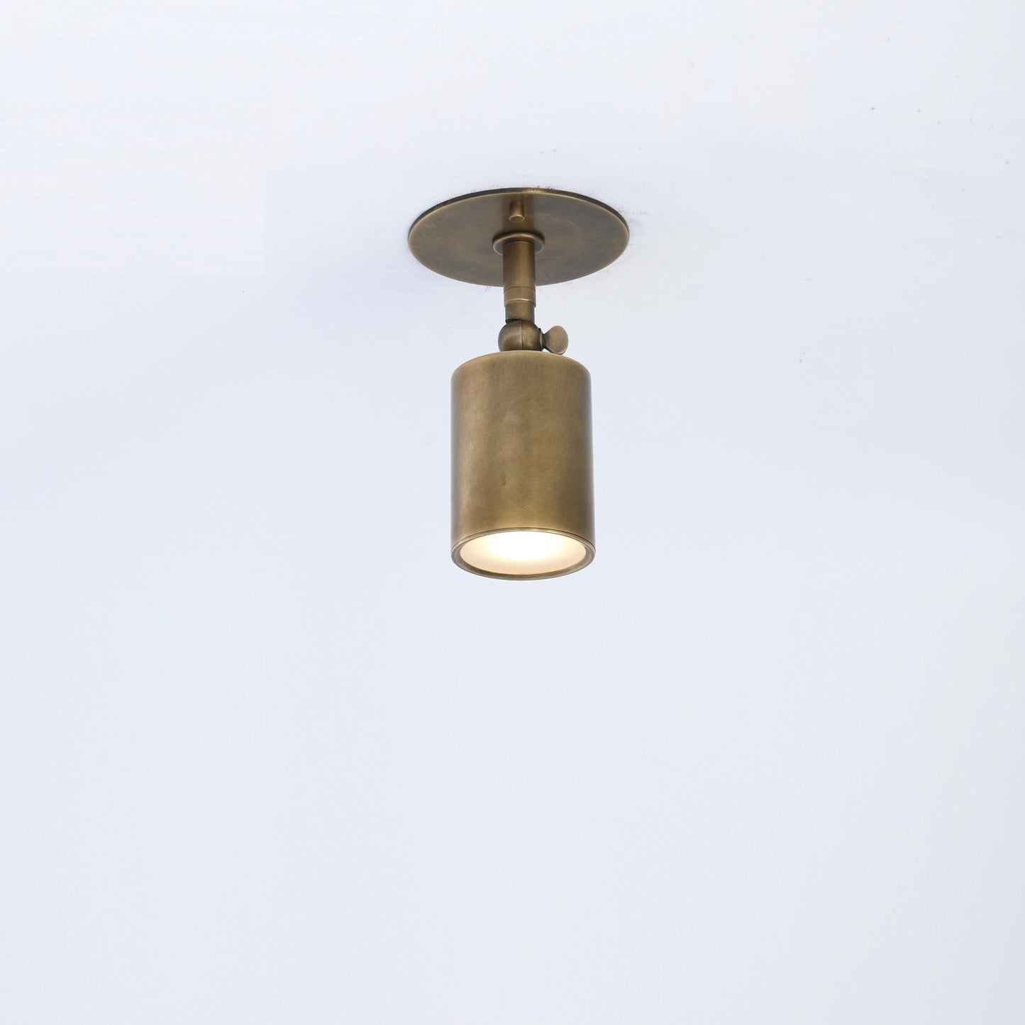 Adjustable Brass Spotlight Ceiling Light with Frosted Lens, 4 or 5-Inch Shade