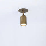 Adjustable Brass Spotlight Ceiling Light with Frosted Lens, 4 or 5-Inch Shade
