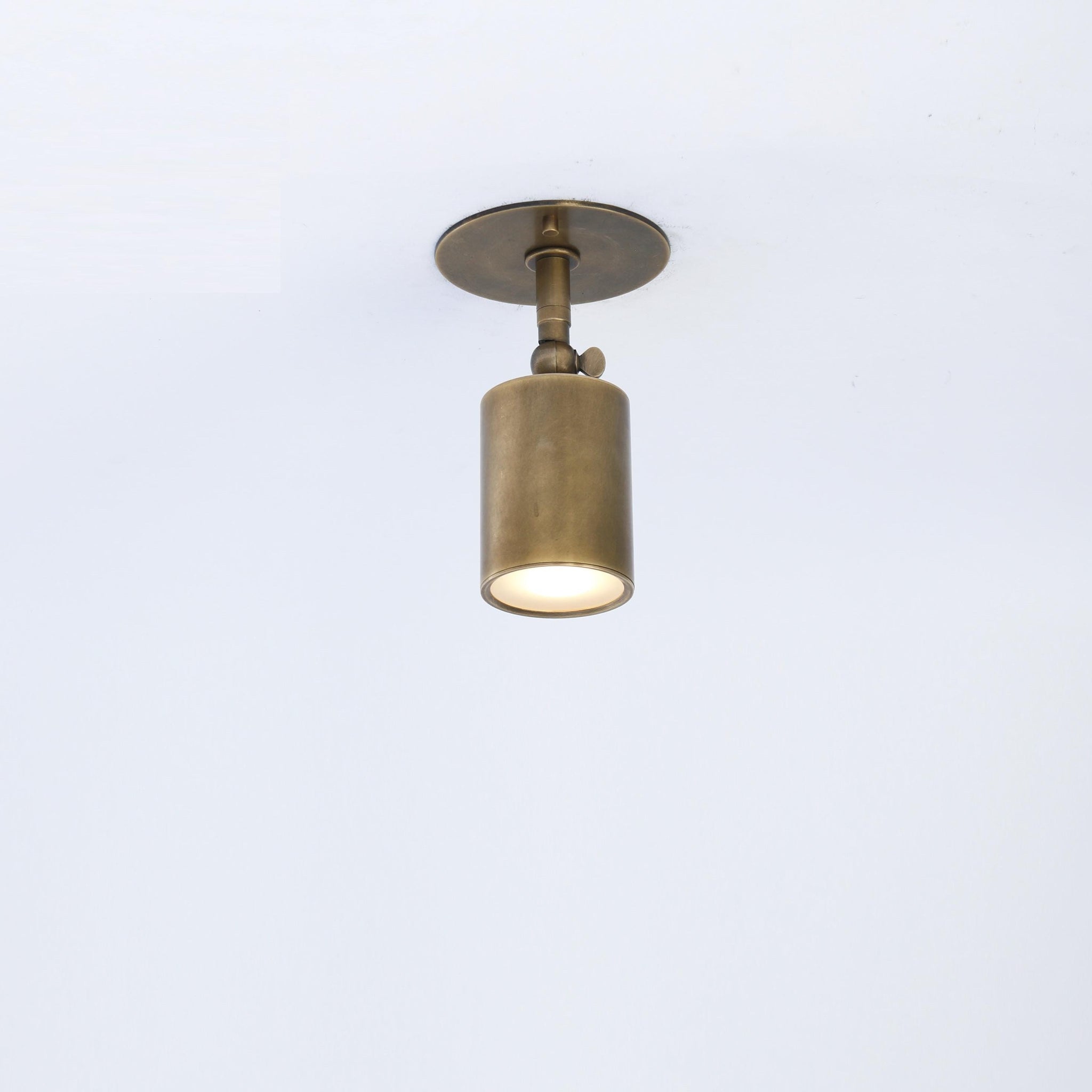 Adjustable Brass Spotlight Ceiling Light with Frosted Lens, 4 or 5-Inch Shade