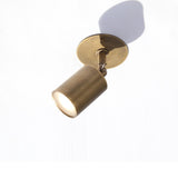 Adjustable Brass Spotlight Ceiling Light with Frosted Lens, 4 or 5-Inch Shade