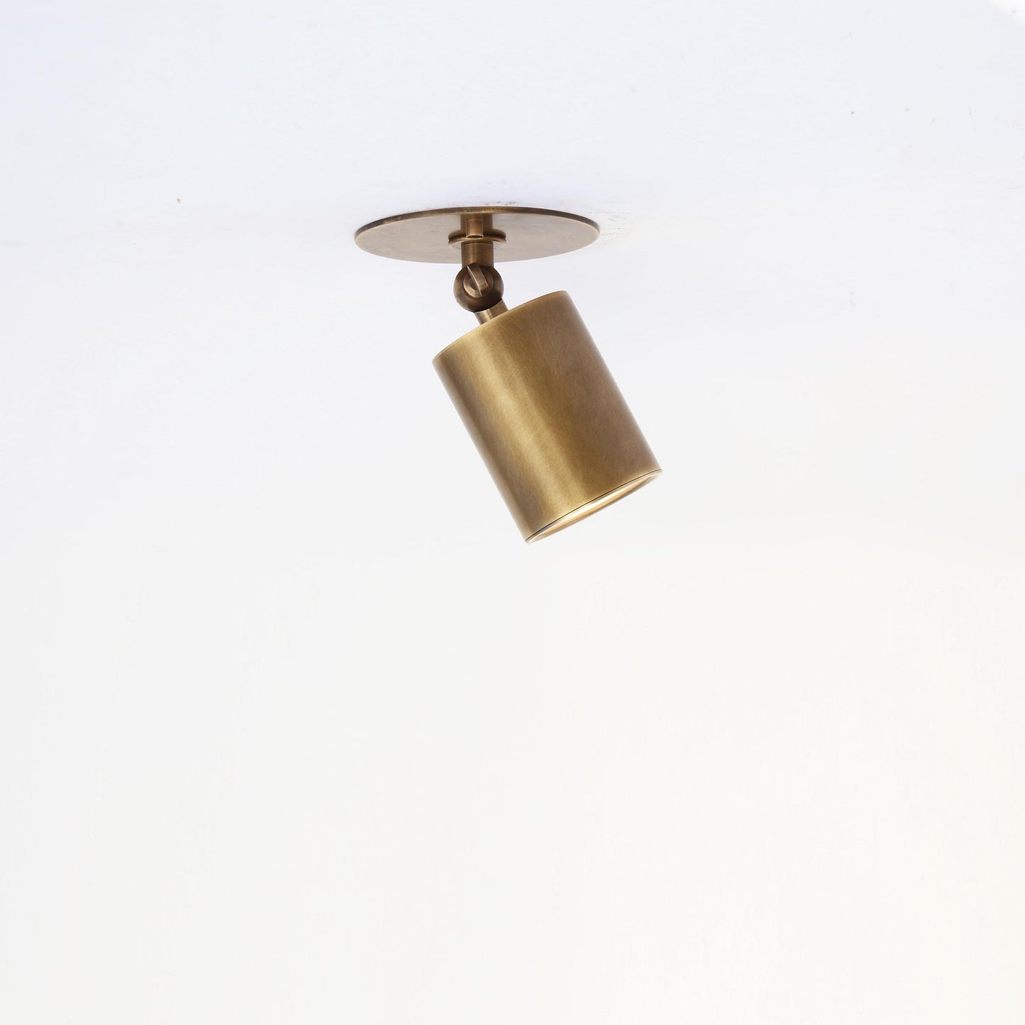 Adjustable Brass Spotlight Ceiling Light with Frosted Lens, 4 or 5-Inch Shade