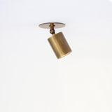 Adjustable Brass Spotlight Ceiling Light with Frosted Lens, 4 or 5-Inch Shade