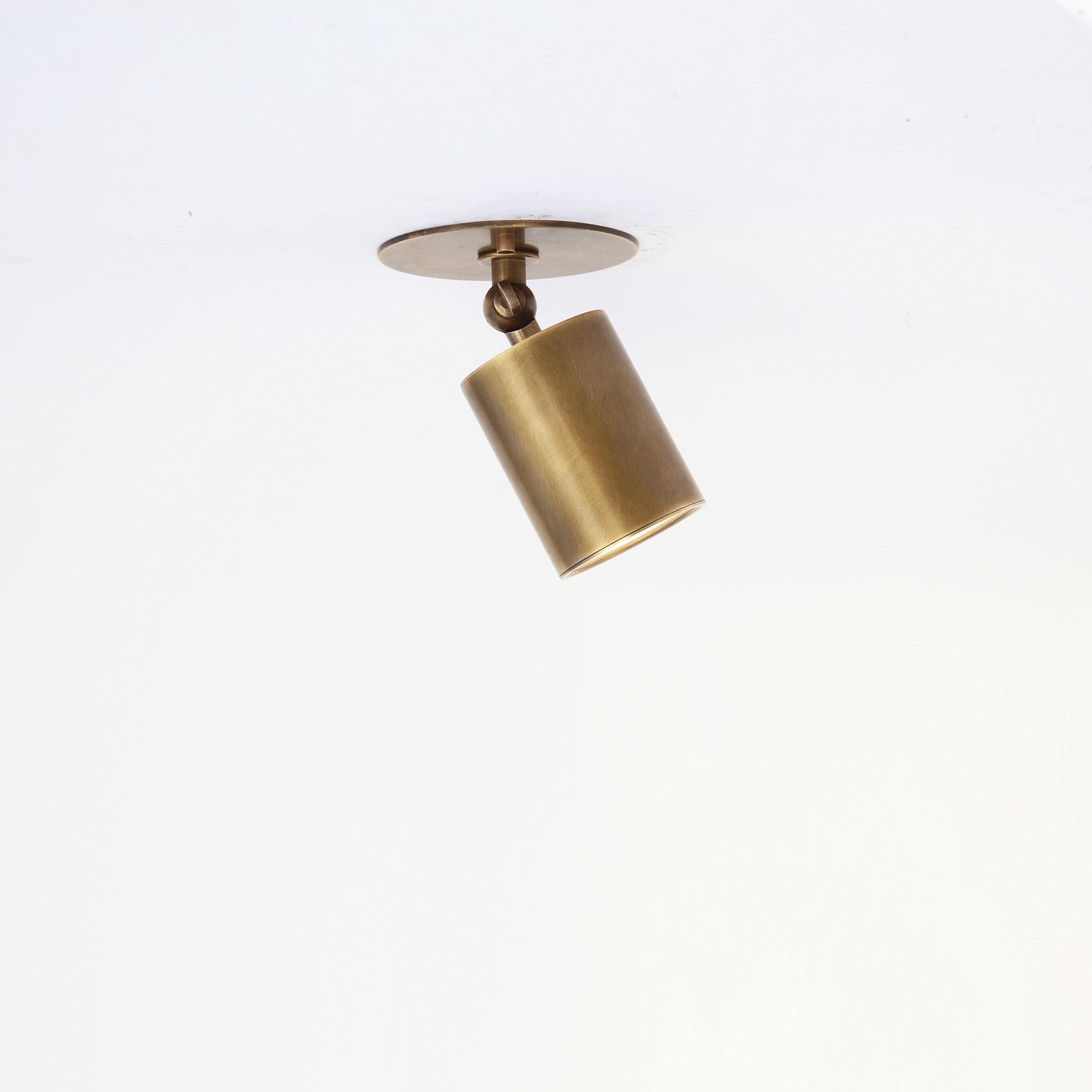 Adjustable Brass Spotlight Ceiling Light with Frosted Lens, 4 or 5-Inch Shade