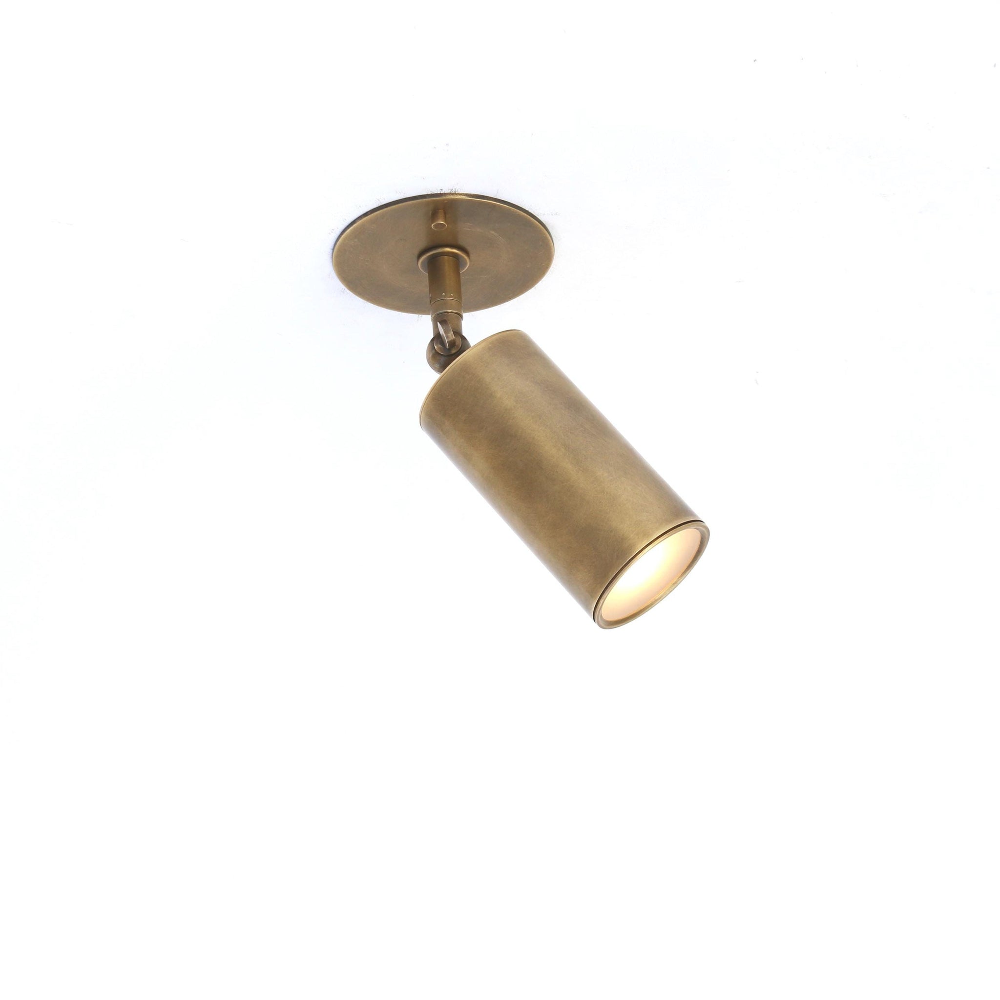Adjustable Brass Spotlight Ceiling Light with Frosted Lens, 5-Inch Shade