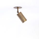 Adjustable Brass Spotlight Ceiling Light with Frosted Lens, 5-Inch Shade