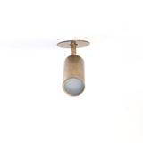 Adjustable Brass Spotlight Ceiling Light with Frosted Lens, 5-Inch Shade