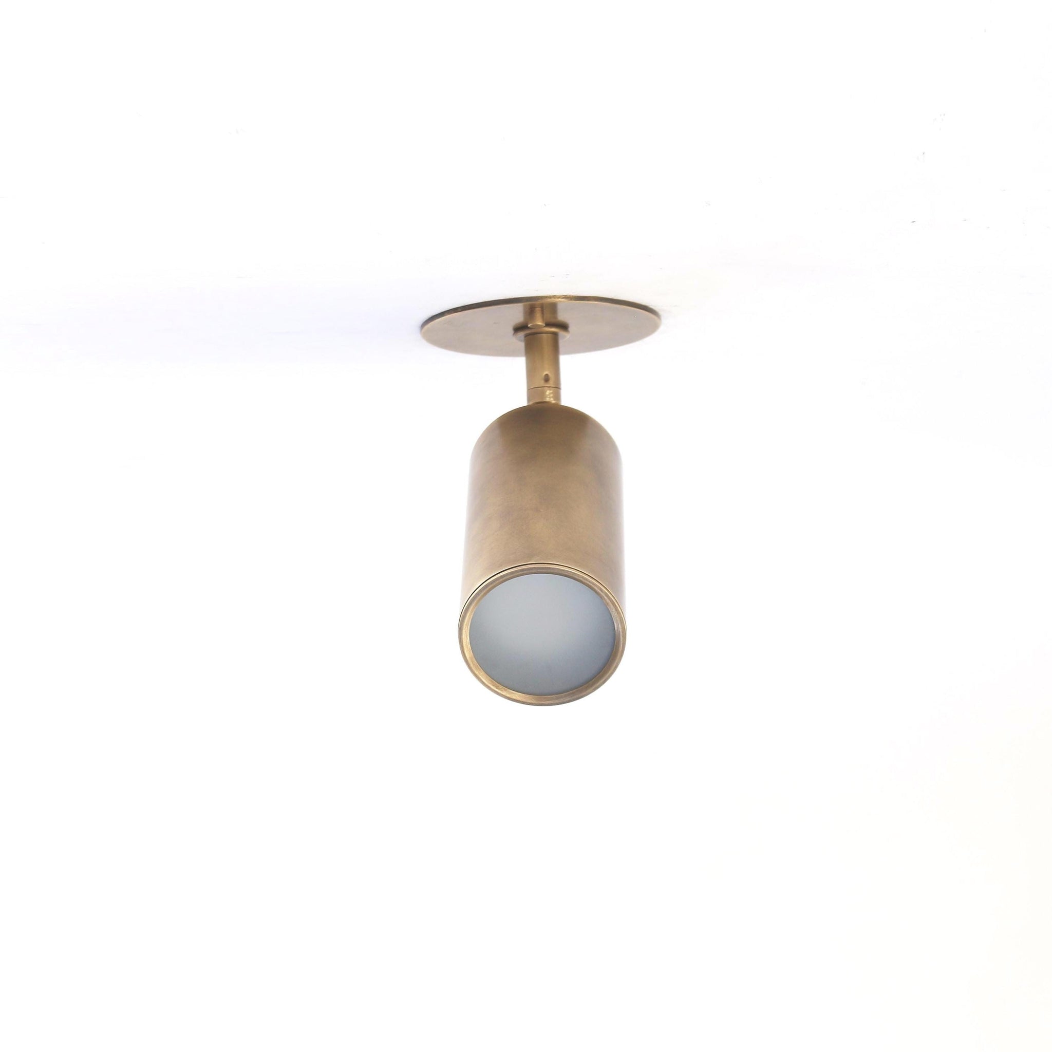 Adjustable Brass Spotlight Ceiling Light with Frosted Lens, 5-Inch Shade
