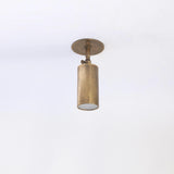 Adjustable Brass Spotlight Ceiling Light with Frosted Lens, 5-Inch Shade