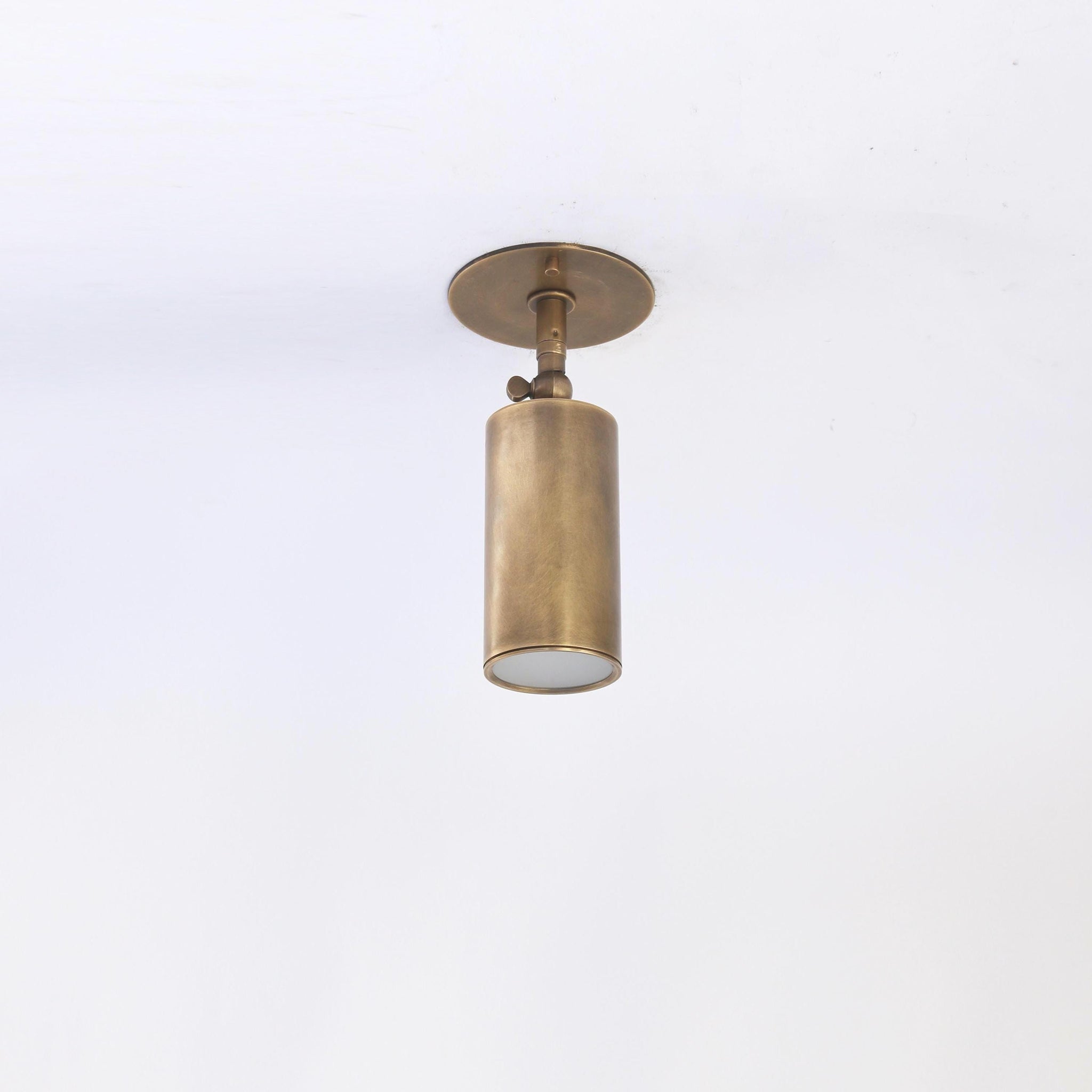 Adjustable Brass Spotlight Ceiling Light with Frosted Lens, 5-Inch Shade