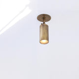 Adjustable Brass Spotlight Ceiling Light with Frosted Lens, 5-Inch Shade