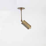 Adjustable Brass Spotlight on Drop Rod